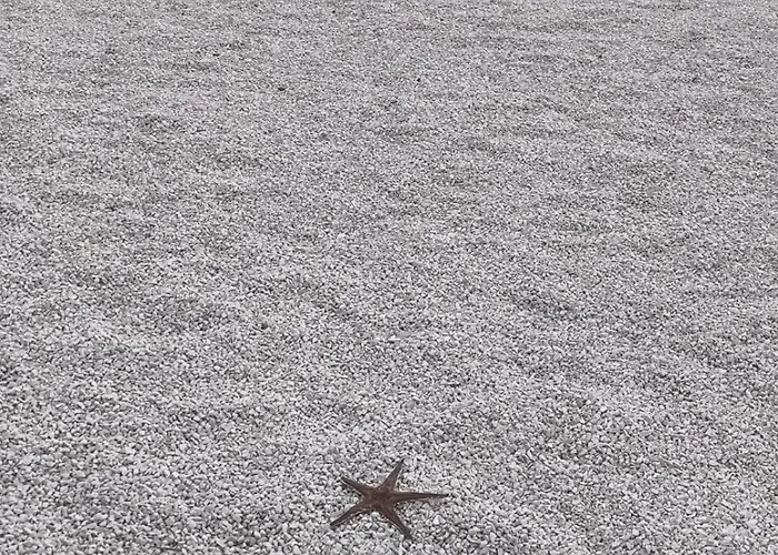 Appartement Leon Trogir